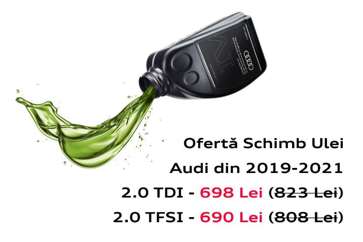 SEg2Audi