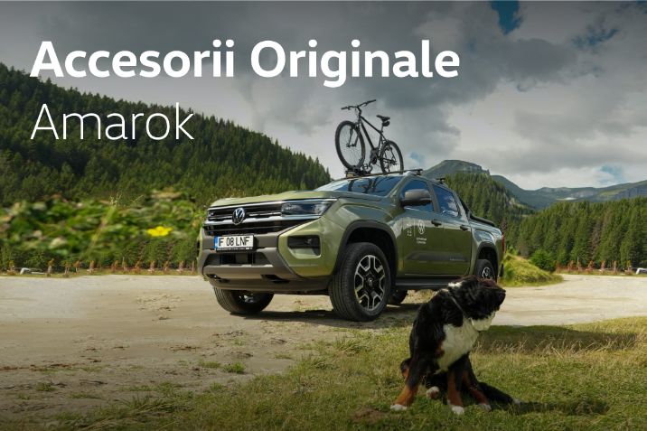 amarok